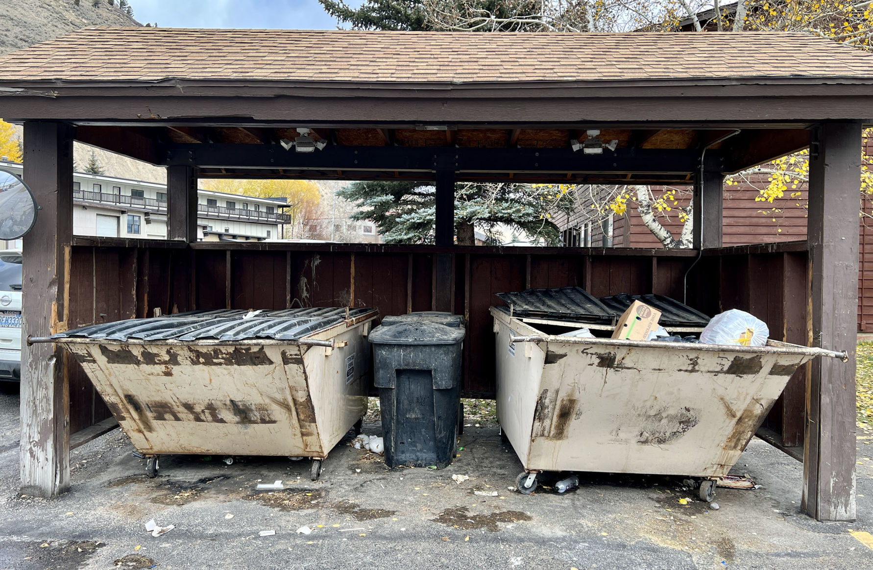 Dumpsters in town